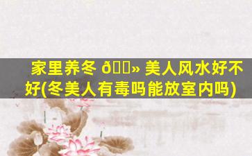 家里养冬 🌻 美人风水好不好(冬美人有毒吗能放室内吗)